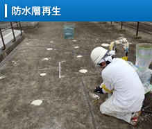 防水層再生