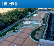 屋上緑化